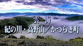 雲海／紀の川・高野山／かつらぎ町