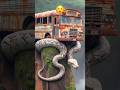 AI Travel Discovery | White Python vs Bus | Amazon Jungle #shorts #trending #art