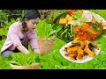 Cabbage Soup with Catfish,Fish Noodle Soup,Lâm Anh Harvests Cabbage from the Garden | Nguyễn Lâm Anh