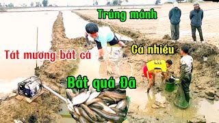 Tát mương trúng đậm cá quá nhiều