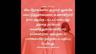 13 ஜூலை 2024, பொதுக்காலத்தின் பதினான்காவது சனி மத்தேயு 10, 24-33 விசுவாசம்