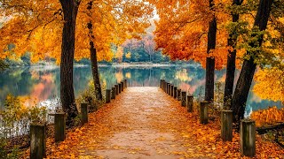 Relaxing Autumn October, Beautiful New England Fall Foligae🍁Great Relaxing Music ~ Cozy Autumn Vibes