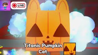 Hatching for the TITANIC PUMPKIN CAT!