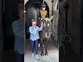 tourists ignore guidelines king s guard horse faces overwhelming attention