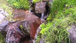 Recursos naturales nariño