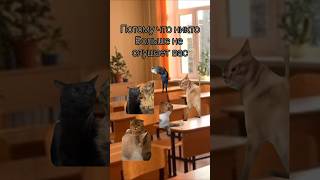 Училка выгнала ученика#видео #shortvideo #мемы #рекомендации #мем #shots #мемчики #cat #memes #mem