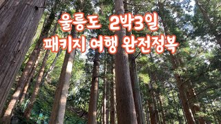 신비의 섬 맞습니다. 울릉도 패키지 가족여행 후회없네요