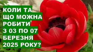 Коли та що робити з 03 по 07 березня 2025 року?