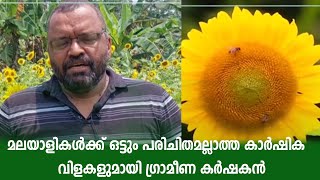 മലയാളികള്‍ക്ക് ഒട്ടും പരിചിതമല്ലാത്ത കാര്‍ഷിക വിളകളുമായി ഗ്രാമീണ കര്‍ഷകന്‍