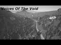 I'm not alone (Voices Of The Void)