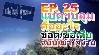 [มือใหม่ ตู้ทะเล] EP.25 แบคฯบลูม