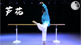 把杆组合《芦花》| Dance Combination “Reed Catkins” | 孙科舞蹈工作室 SUN KE Dance Studio