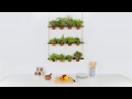 DIY Hanging Herb Garden