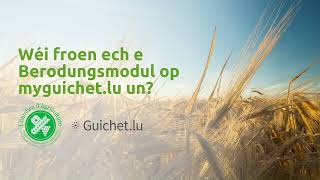 Tutorial: How do I request an advice module on myguichet.lu?