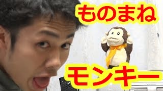 ものまねしながら歩く猿がやってきた！？walky-talky-monkey