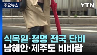 [날씨] 식목일·청명 전국 비, 제주 비바람...바람 불며 쌀쌀 / YTN