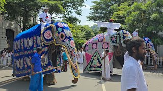 2024 සෙංකඩගල ඇසළ පෙරහැර මංගල්‍යය මෙසේ ආරම්භ විය - කප් සිටුවීමේ පෙරහැර