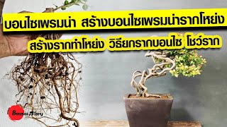 บอนไซเพรมน่า สร้างบอนไซเพรมน่ารากโหย่ง สร้างรากทำโหย่ง โชว์ราก  Premna bonsai, Roots Exposed Style