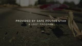 Crossing Guard Training - The Living Pavement - 8 Step Review