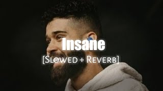 Insane - (Slowed + Reverb) ft. Ap Dhillon | Namya_editz