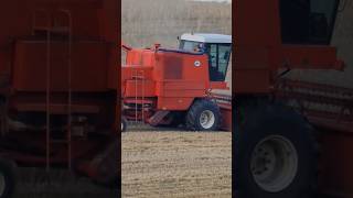 Bizon Super Z056 Rocznik 1990 Żniwa 2024 #farming #bizon