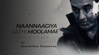 Naanaagiya Nathi Moolamea _ Flute Cover by A.Sanjeevan