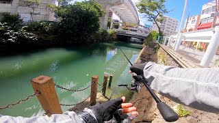 はじめての那覇都市河川で釣りをすると...【沖縄ルアー】【沖縄釣り】