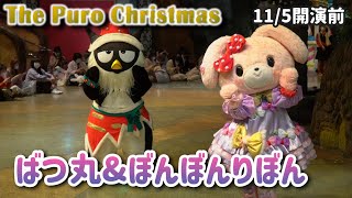 【ピューロクリスマス2021】ばつ丸\u0026ぼんぼんりぼん パレード開演前ご挨拶グリーティング11/5【4K】