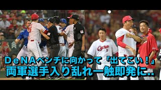 広島　新井監督が秋山の○球で激高　ＤｅＮＡベンチに向かって「出てこい！」両軍選手入り乱れ一触即発に　審判員から警告「互いに真剣勝負を」