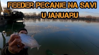 Feeder pecanje na Savi. Ribolov u januaru