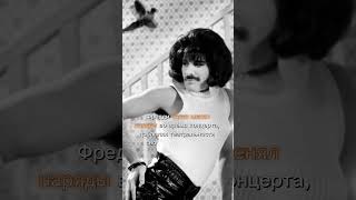 Фредди Меркьюри и его образы. МузИстория за минуту #музистория #freddiemercury #queen #rock