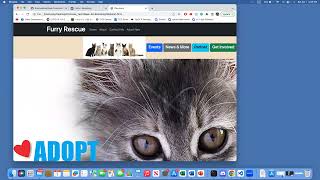 week 9 bootstrap