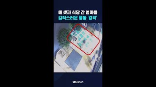 애 셋과 식당 간 엄마들…갑작스러운 행동 '경악' #shorts