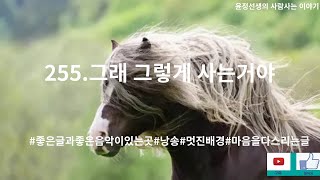 255.윤정선생의사람사는이야기\