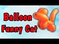 One BalloN CaT