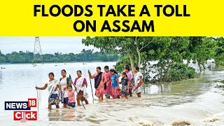 Assam Flood 2023 | Assam Is Reeling From Annual Floods | Assam Floods | English News | News18