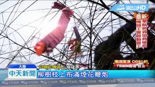 20190208中天新聞　延禧「萬紫千紅」揭密 1600度「鐵花」迎新年