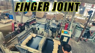 Full Automatic Woodworking Wood Finger Joint Assembly Production Line