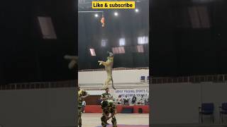 dog high jump training 🔥#shorts #army #viral #ytshorts