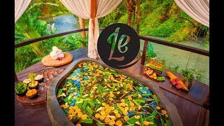 Five Elements Wellness Centre, Bali:  The World's Best Holidays on 7  |  LUXURY ESCAPES