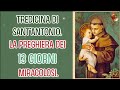 Tredicina di Sant’Antonio.La preghiera dei 13 giorni miracolosi.