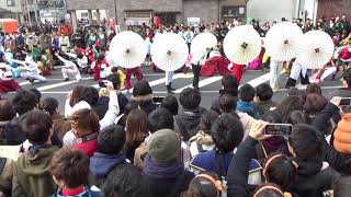 2018 12 16 バサカニ 静岡大学よさこいサークルお茶ノ子祭々　第3会場