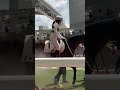 阪神競馬　パドック　マーメイドと今村聖奈騎手　5r メイクデビュー阪神（2023.9.10）