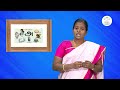 எண்ணும் எழுத்தும் ~ அரும்பு, மொட்டு ,மலர் பயிற்சி நூல் விளக்கம் #ennumeluthum