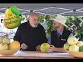 Produce Pair Summer Melon Taste Off!