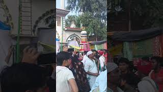 Kanpur Muharram tajiya juloos Hussain #india #tajiya #mohharam2022 #viral #hussain