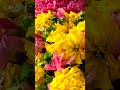 the sacred bond flowers and temples in tamil nadu s spiritual tradition deja_vu_stories shorts