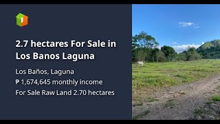 2.7 hectares  For Sale in Los Banos Laguna