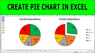 How to Make a Pie Chart in Excel With Percentages | Introduction to How to Make a Pie Chart