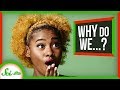 6ish of Your Everyday Actions, Explained | Compilations